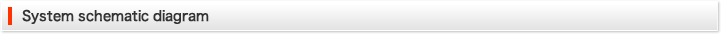 System schematic diagram